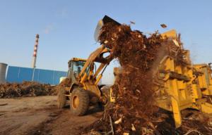 我國生物質發(fā)電穩(wěn)步增長累計裝機達1488萬千瓦