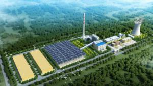 山東青島最大生物質發電項目投用半年威力凸顯