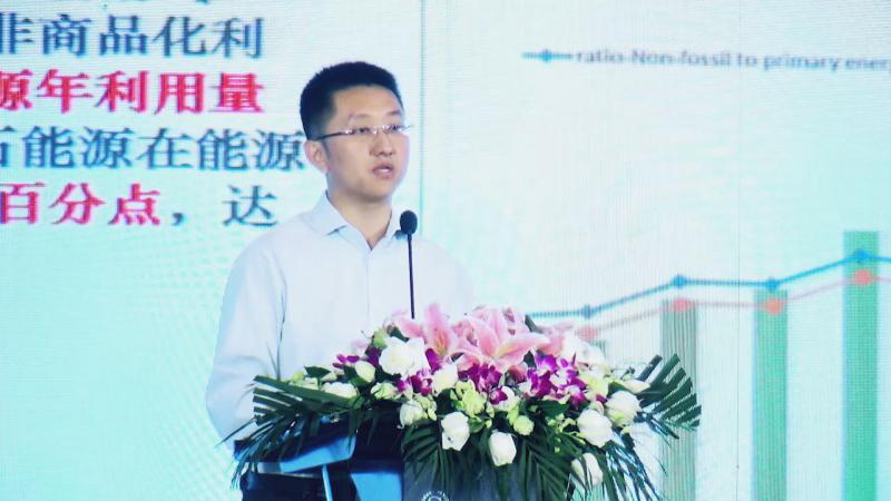 陶冶：中國(guó)可再生能源發(fā)展及市場(chǎng)趨勢(shì)