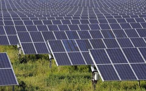 NEA購買19MW的太陽能電力