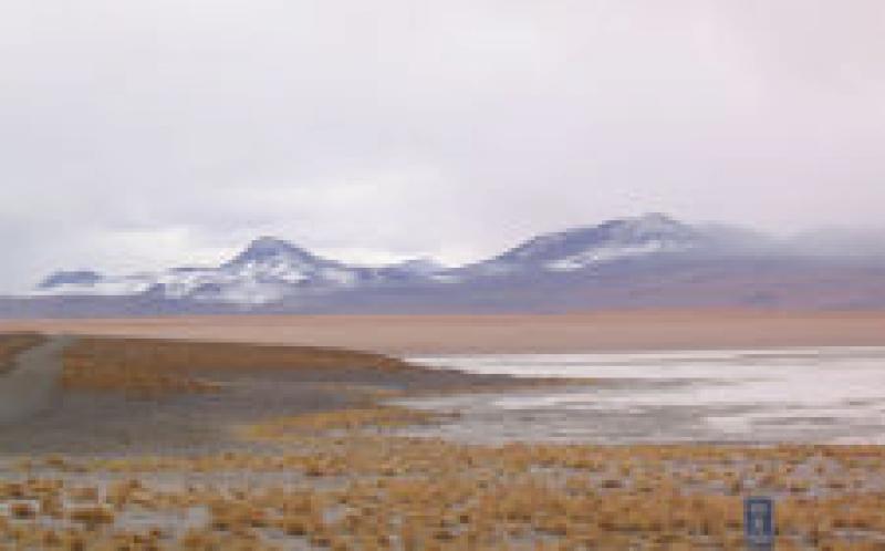 RFP：技術(shù)協(xié)調(diào)地?zé)衢_發(fā)，Laguna Colorada，玻利維亞