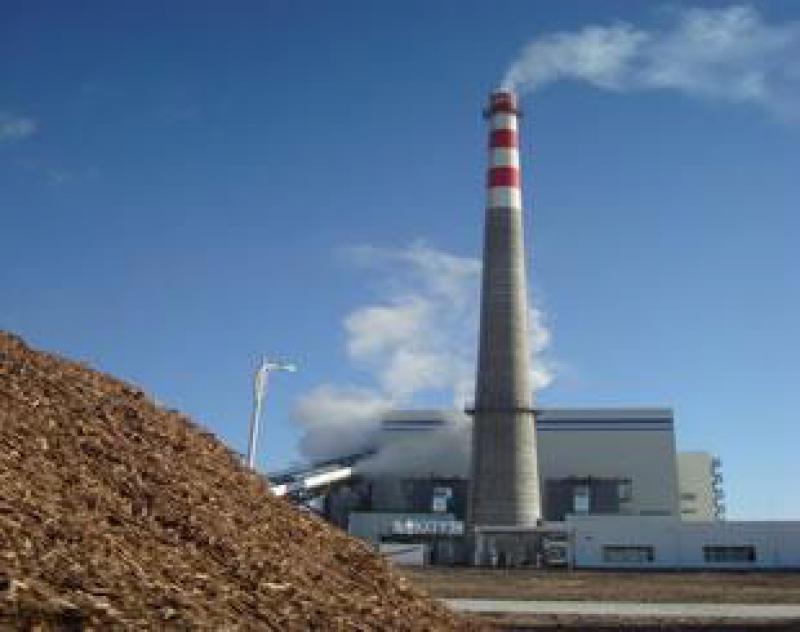 生物質(zhì)發(fā)電去補貼或快于預期