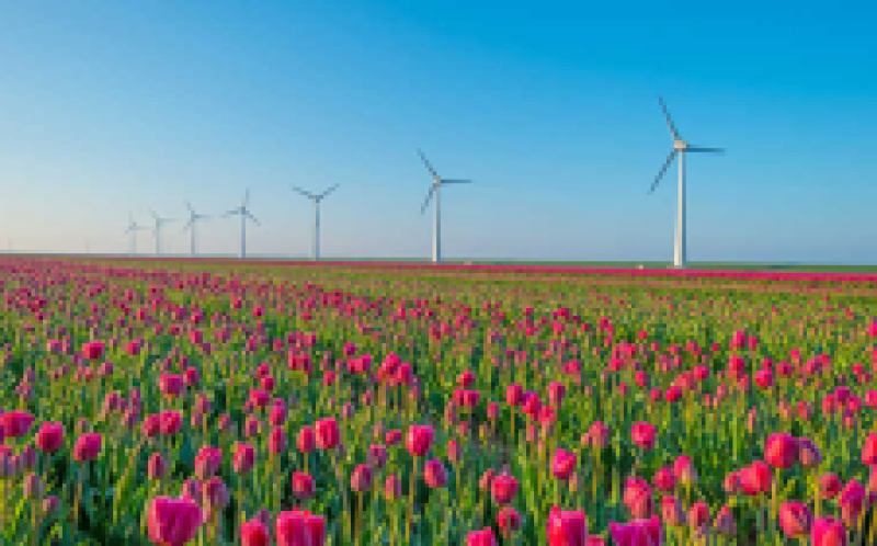 維斯塔斯通過ECN為Wieringermeer風測試站點確保訂單