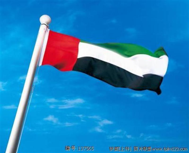 阿聯(lián)酋將在能源、水電及交通部門將投資1.3萬億迪拉姆