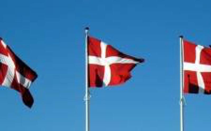 丹麥對高達(dá)1兆瓦的太陽能項目進(jìn)行招標(biāo)