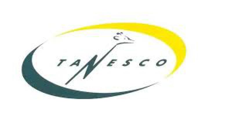 坦桑尼亞電力供應有限公司（TANESCO）