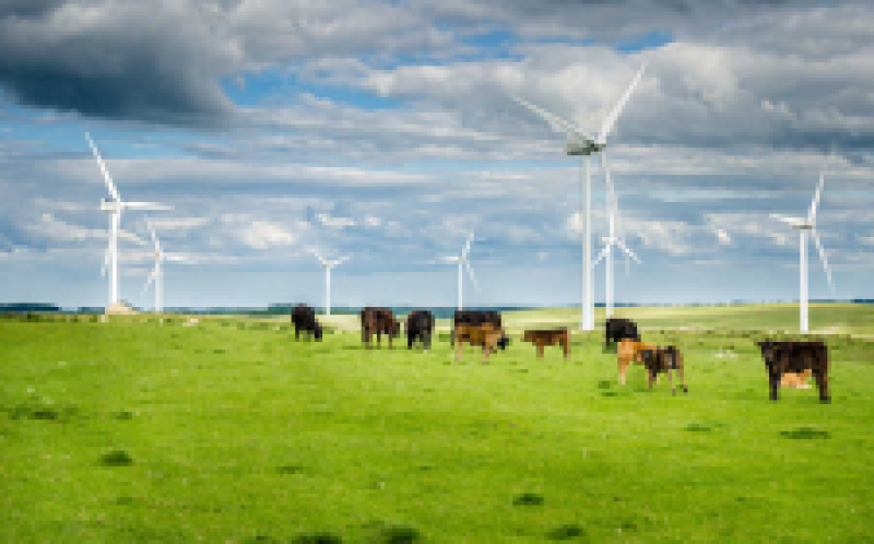 英國達到了風(fēng)能里程碑：20GW的裝機容量和三分之一的能源組合